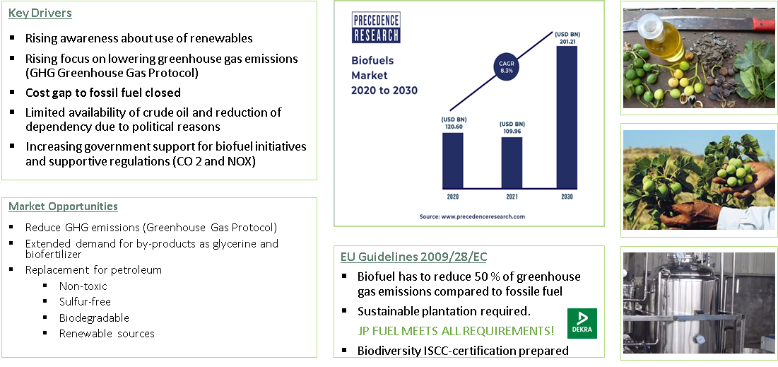 Megatrend biofuel effecting lucrative growth rates